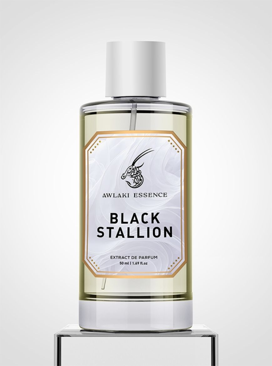 Picture of BLACK STALLION