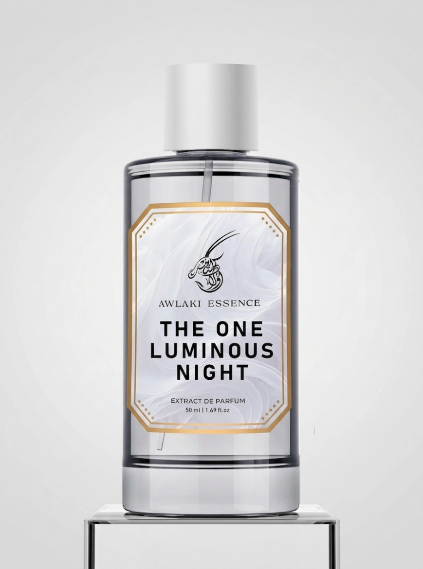Picture of THE ONE LUMINOUS NIGHT
